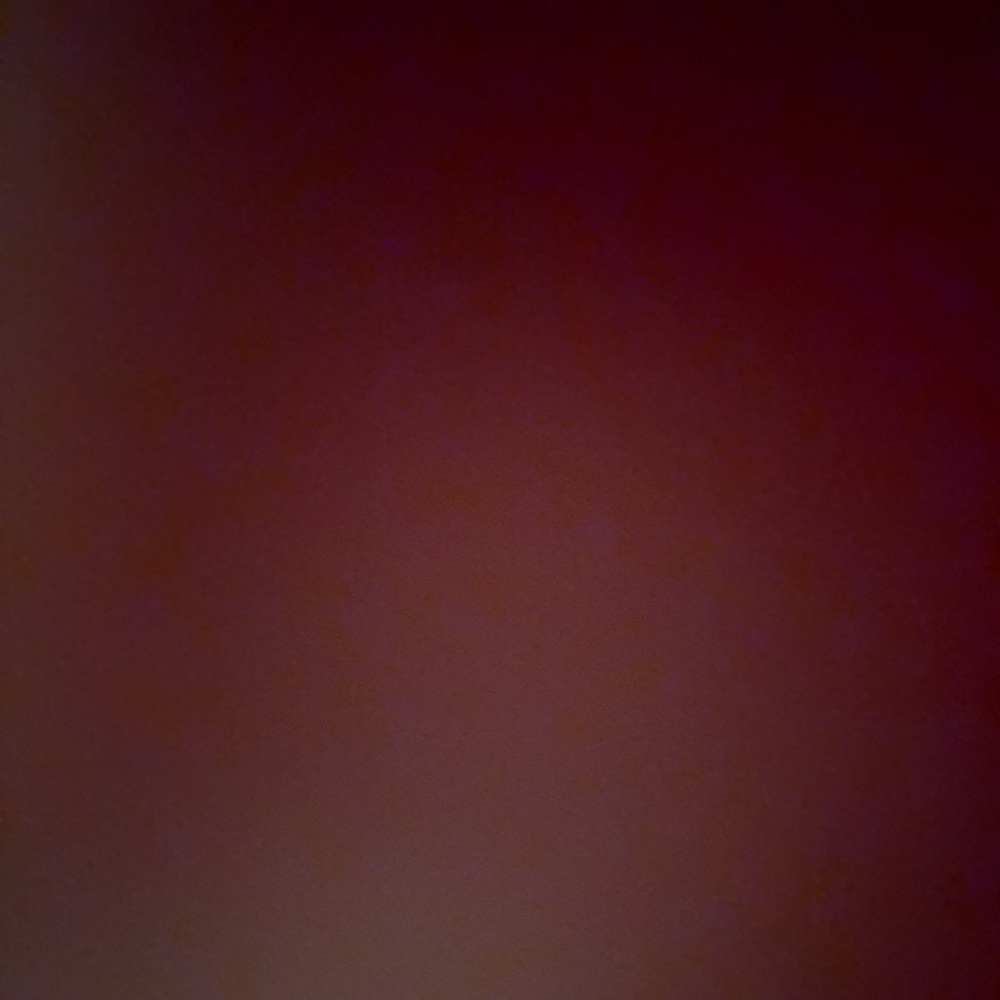 NWOT We the free poplin top also have yellow in my closet - Picture 8 of 8